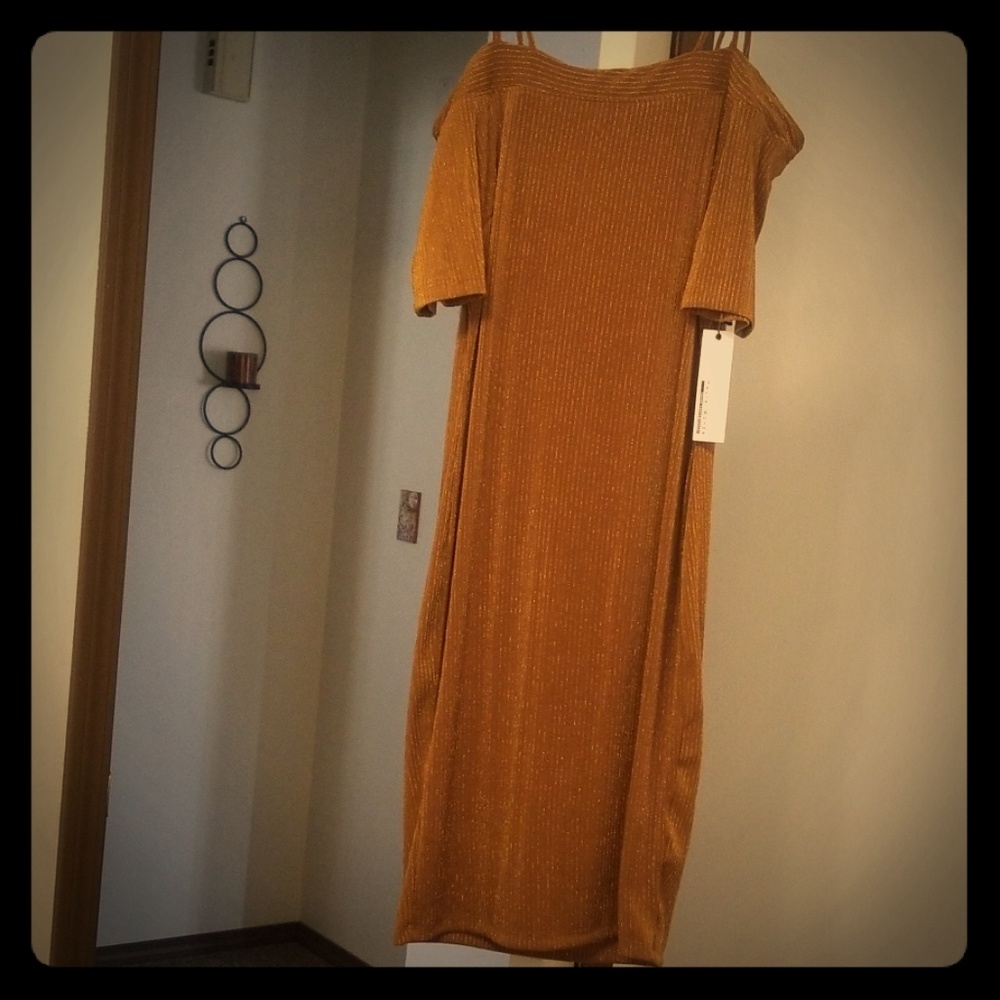 NWT off the shoulder vintage style dress